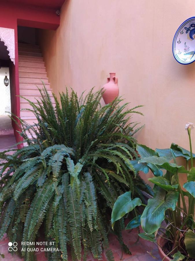 Appartement Jerezanos Jerez de la Frontera